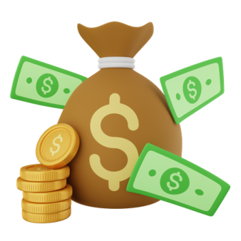 a bag full of money