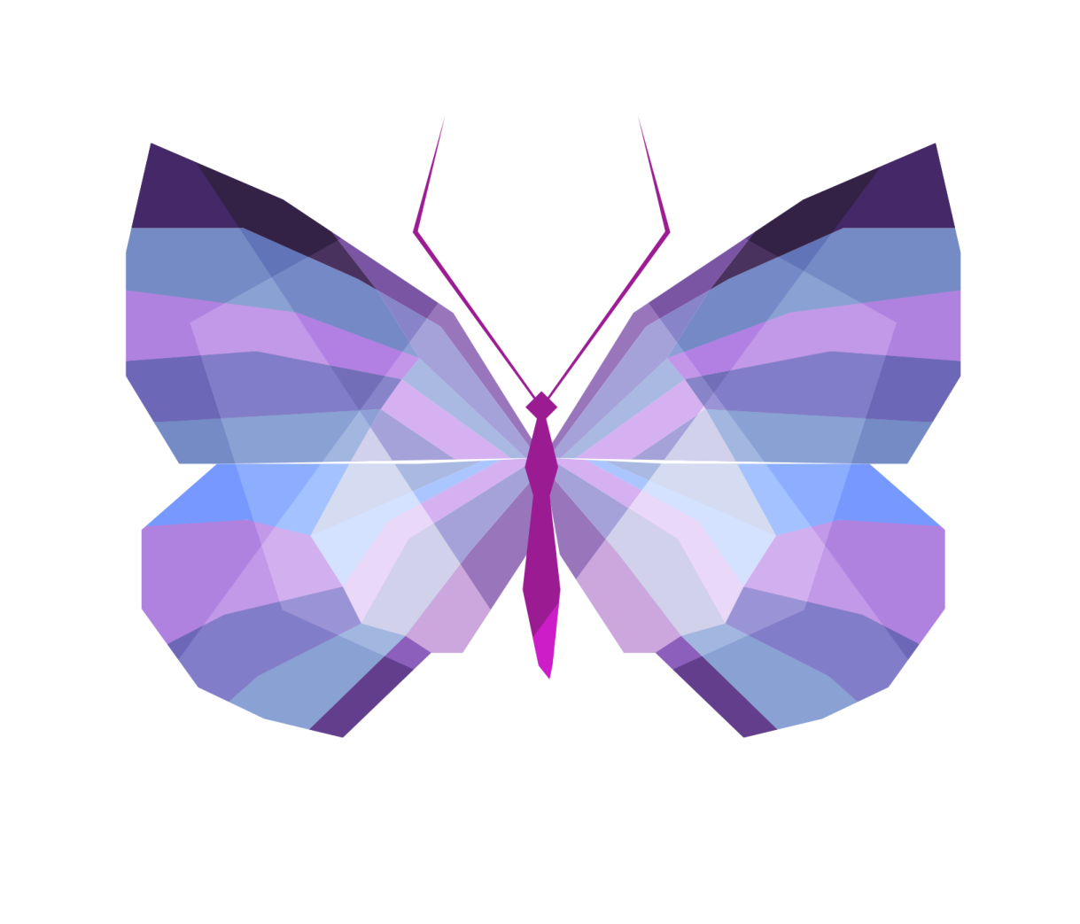 a purple butterfly on a white background