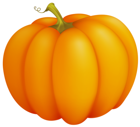 an orange pumpkin on a white background