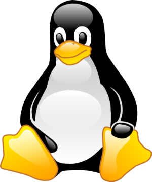a black and white penguin sitting on the ground