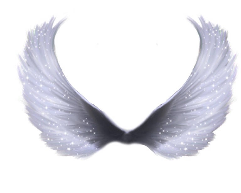 a pair of wings on a white background