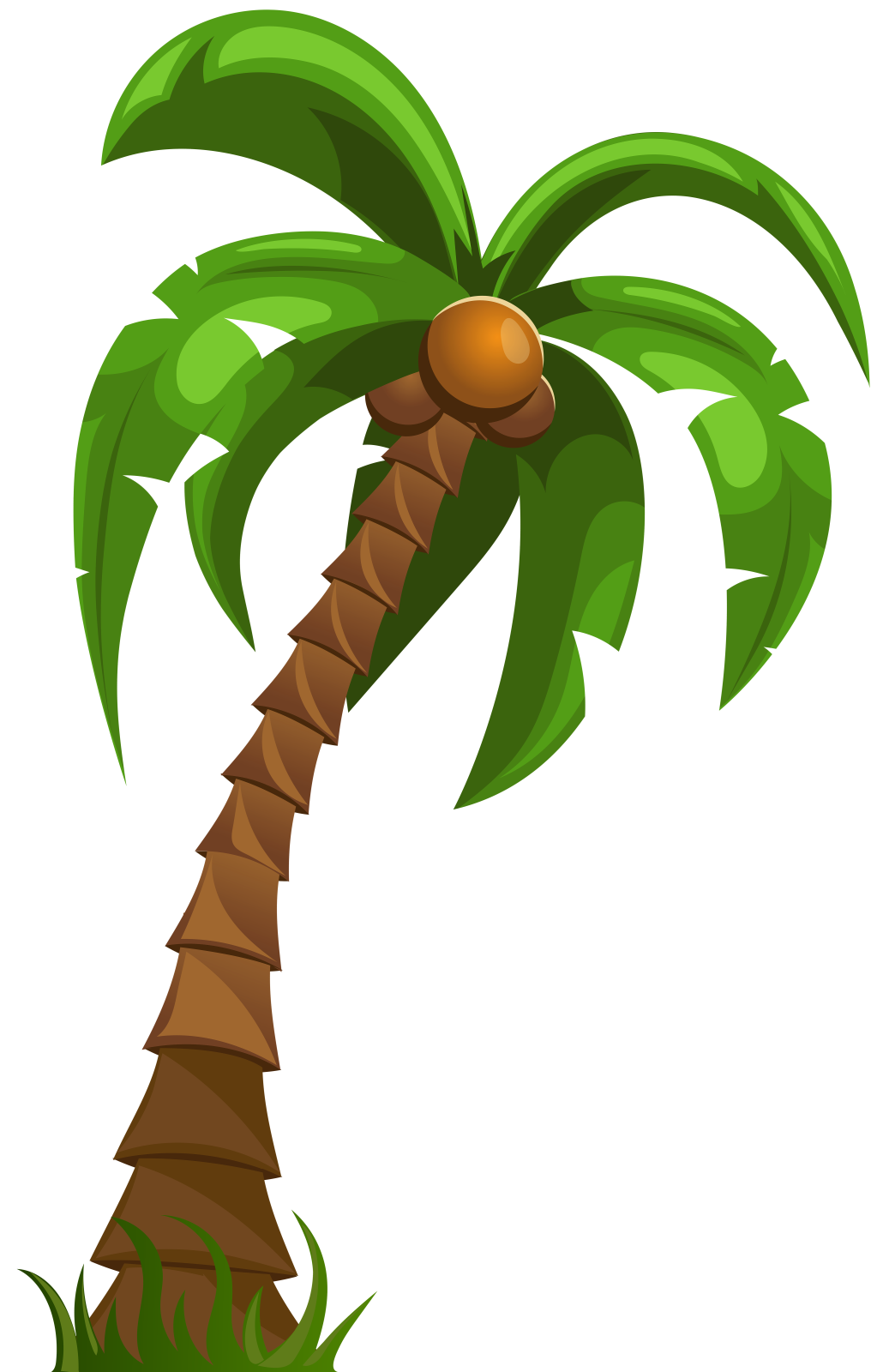 a palm tree clipart
