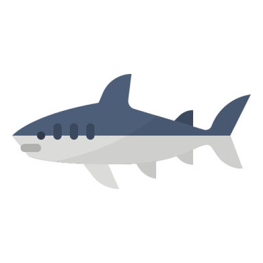 a shark icon on a white background