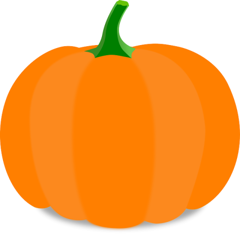 an orange pumpkin on a white background