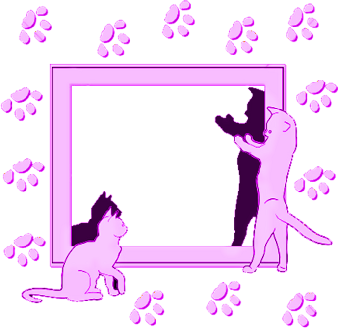 two cats are looking at a picture frame