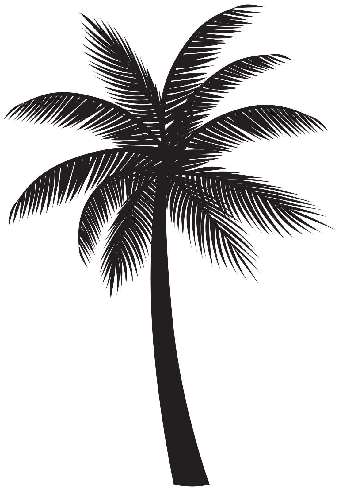 a black and white silhouette of a palm tree