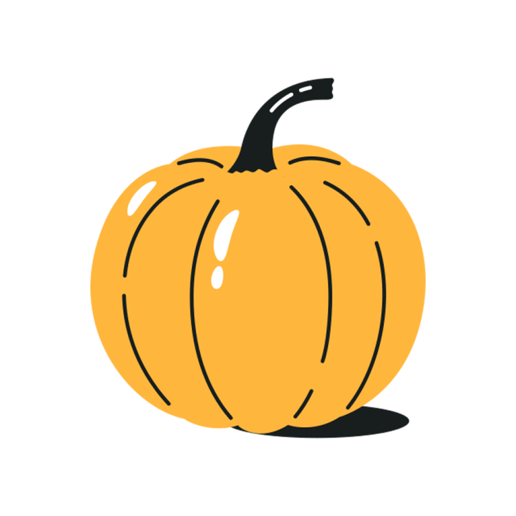 an orange pumpkin on a white background
