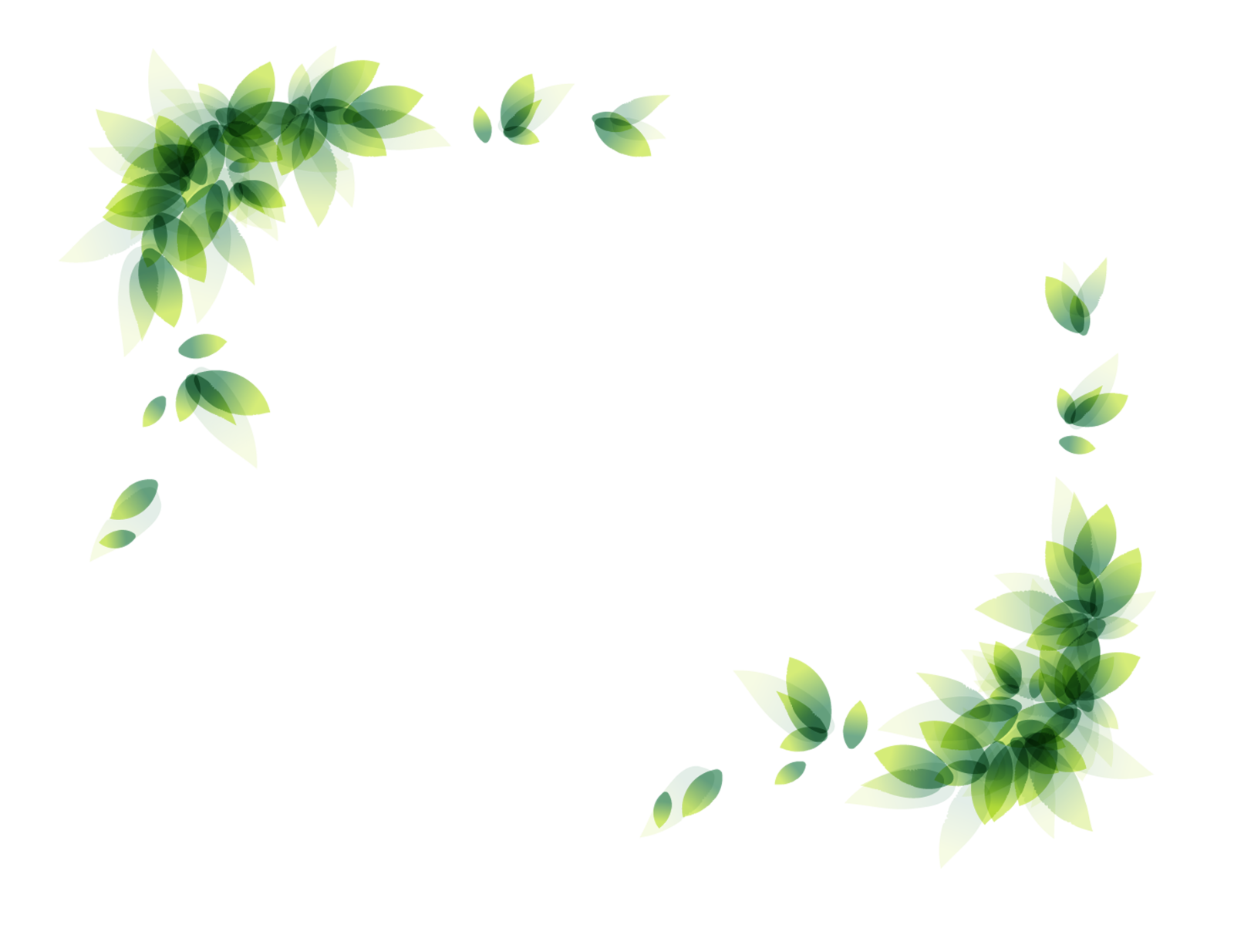 green leaves on a white background