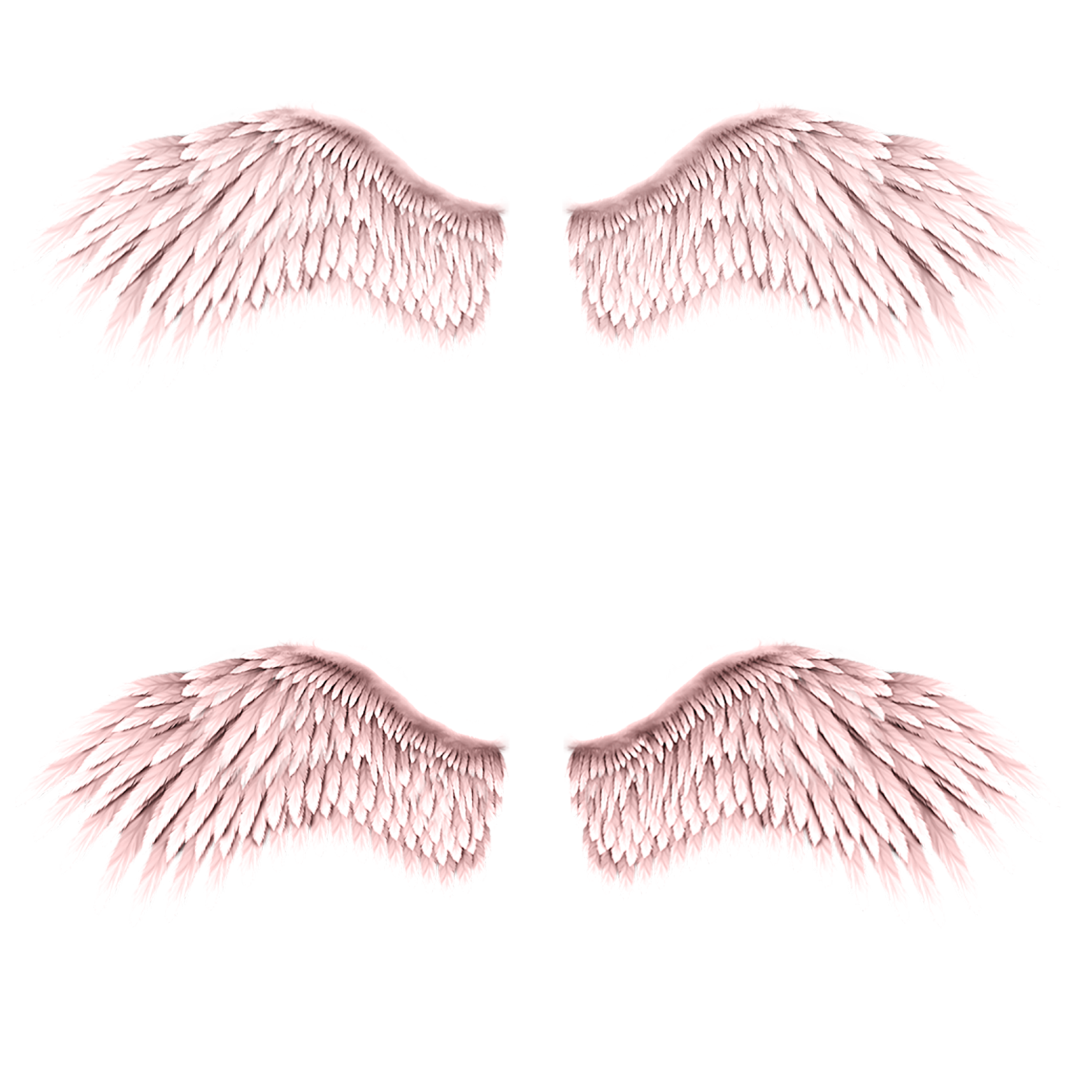 a set of angel wings on a white background