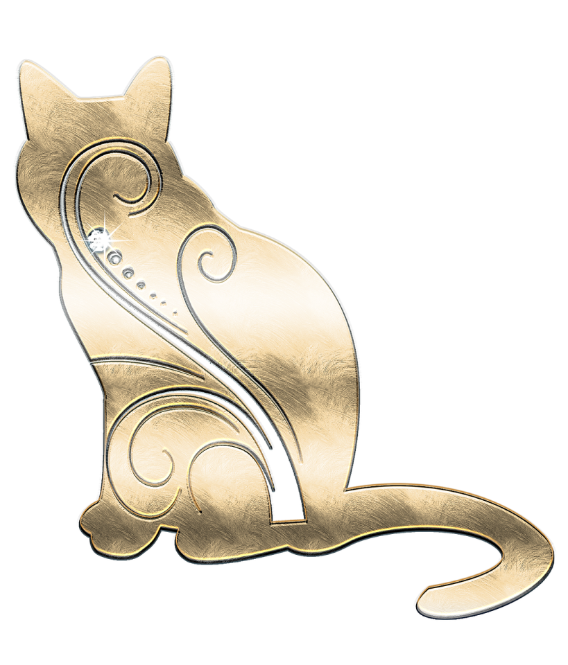 a drawing of a cat on a white background