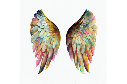 a watercolor painting of two colorful wings