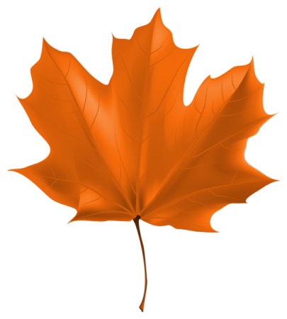 an orange maple leaf