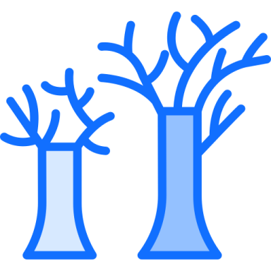 two vases with trees in them