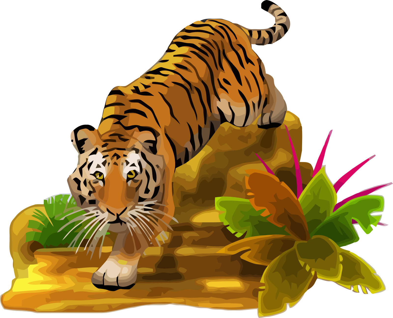 a tiger is walking on the ground