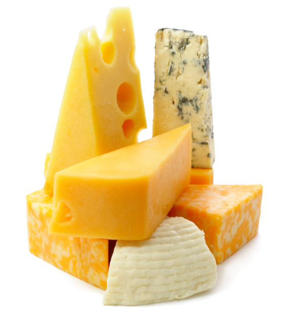 various types of cheese on a white background