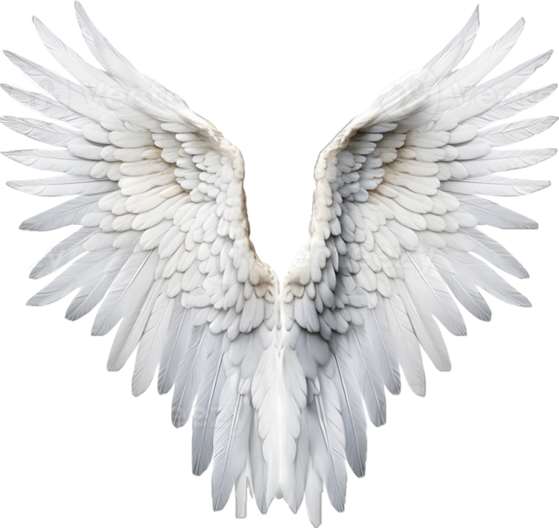 a white angel wings