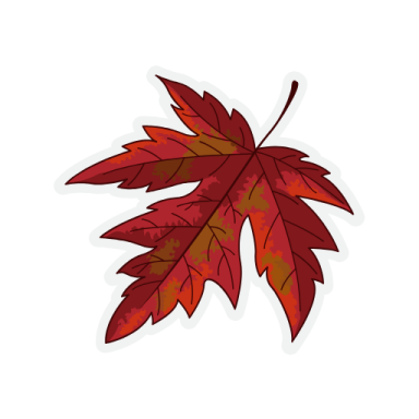 a red leaf on a white background