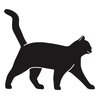 a black cat silhouetted on a white background