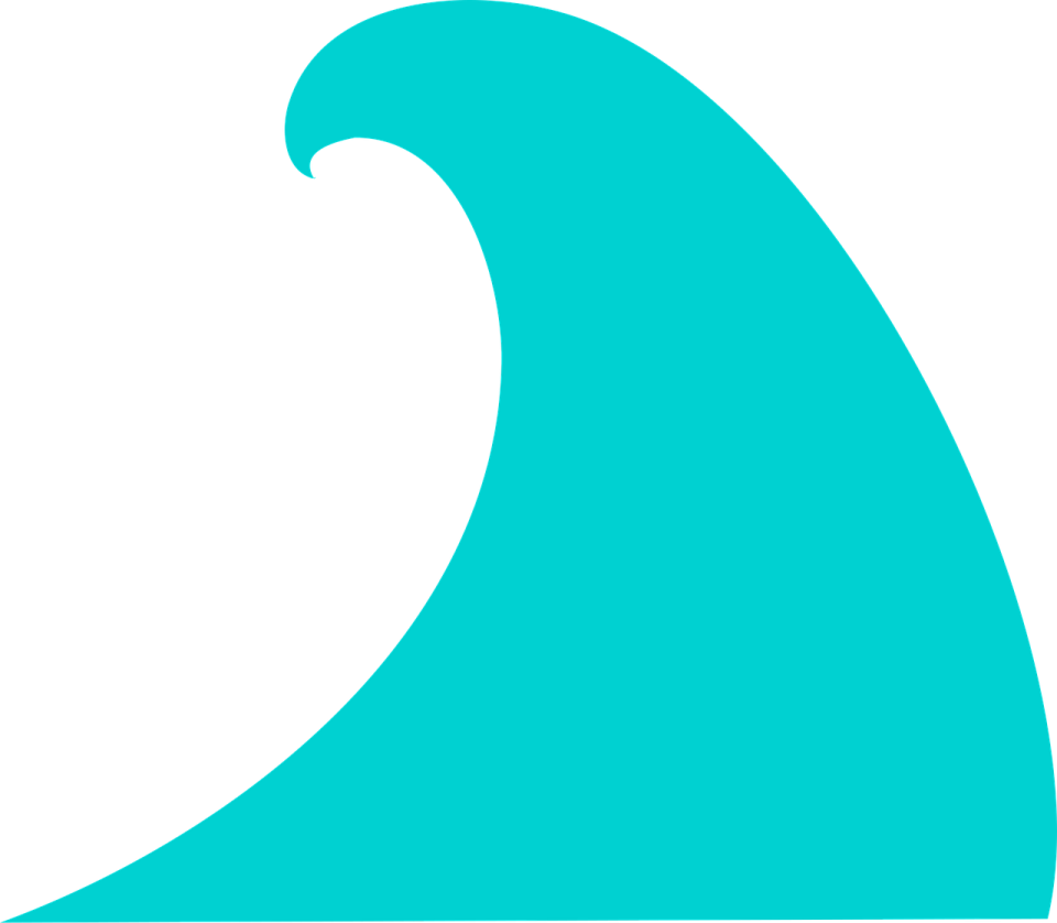 the logo for a surfboard company