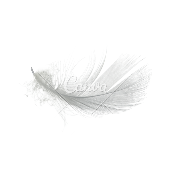 a white feather with the word love on it