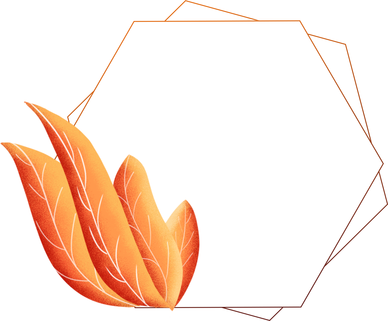 an illustration of a plant with leaves on it