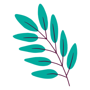 a green leaf on a white background