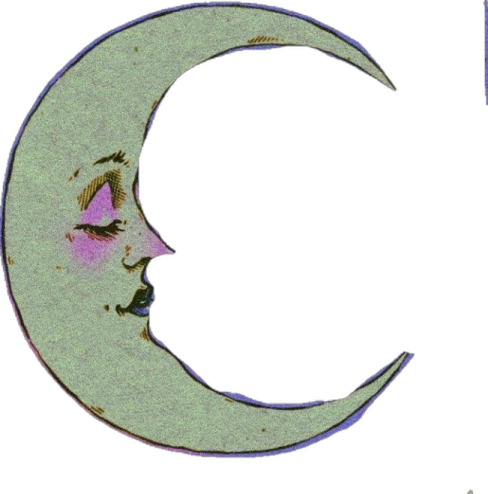 an image of a crescent with a cat sitting on it