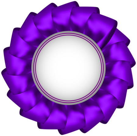 a purple rosette on a white background
