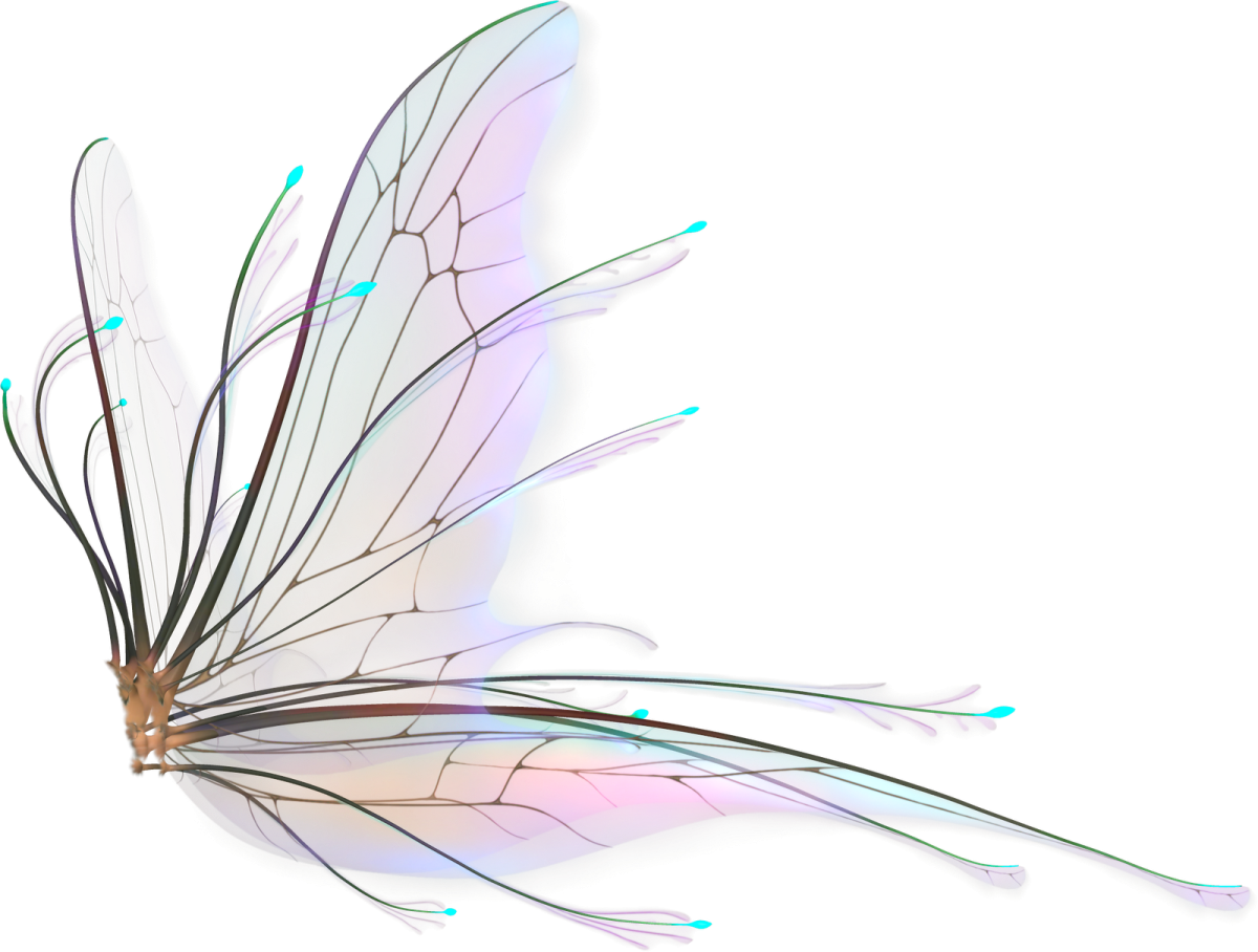 a drawing of a butterfly on a white background