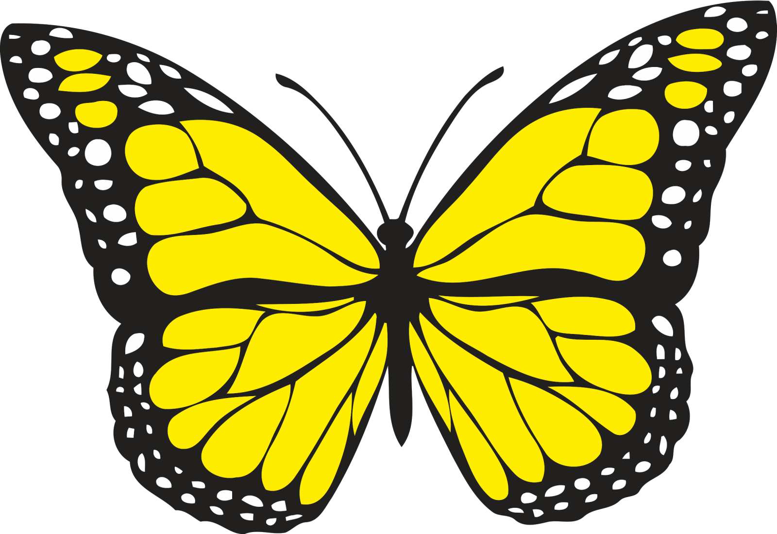 a yellow butterfly on a white background