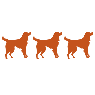 three dogs silhouetted on a white background