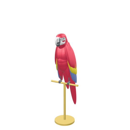 a red parrot sitting on top of a wooden stand