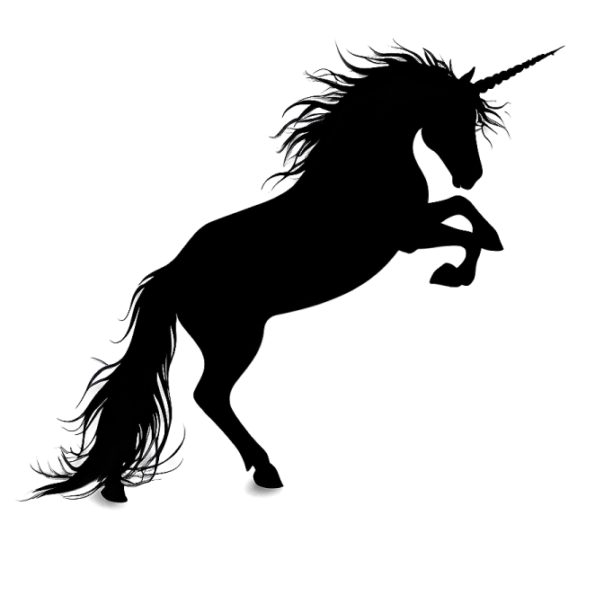 a black unicorn silhouetted on a white background
