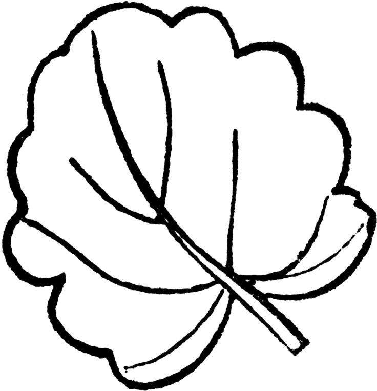 a black and white drawing of a leaf