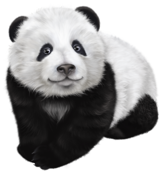 a black and white panda bear on a white background