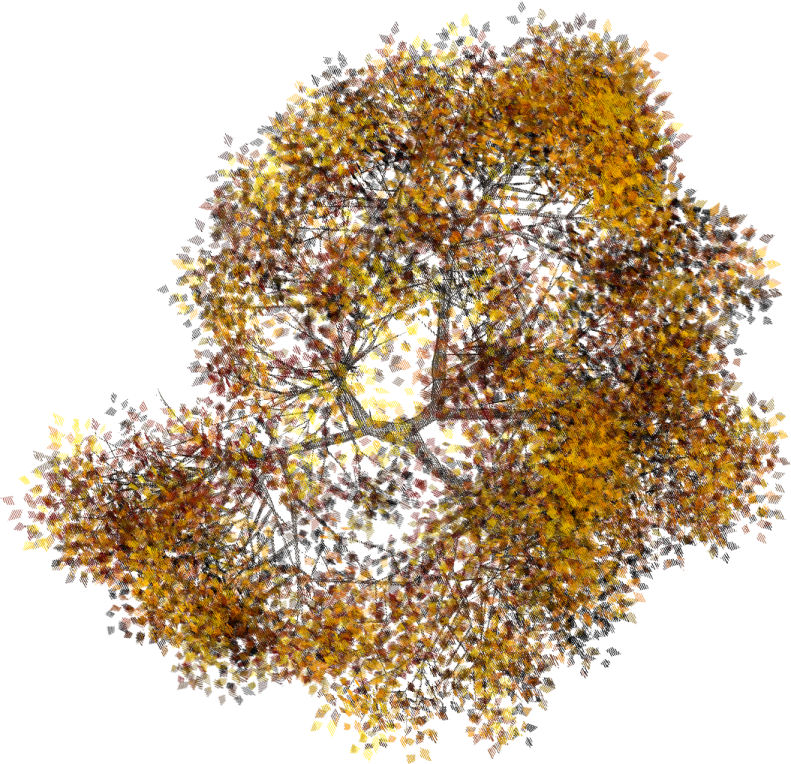 an image of a tree with yellow leaves