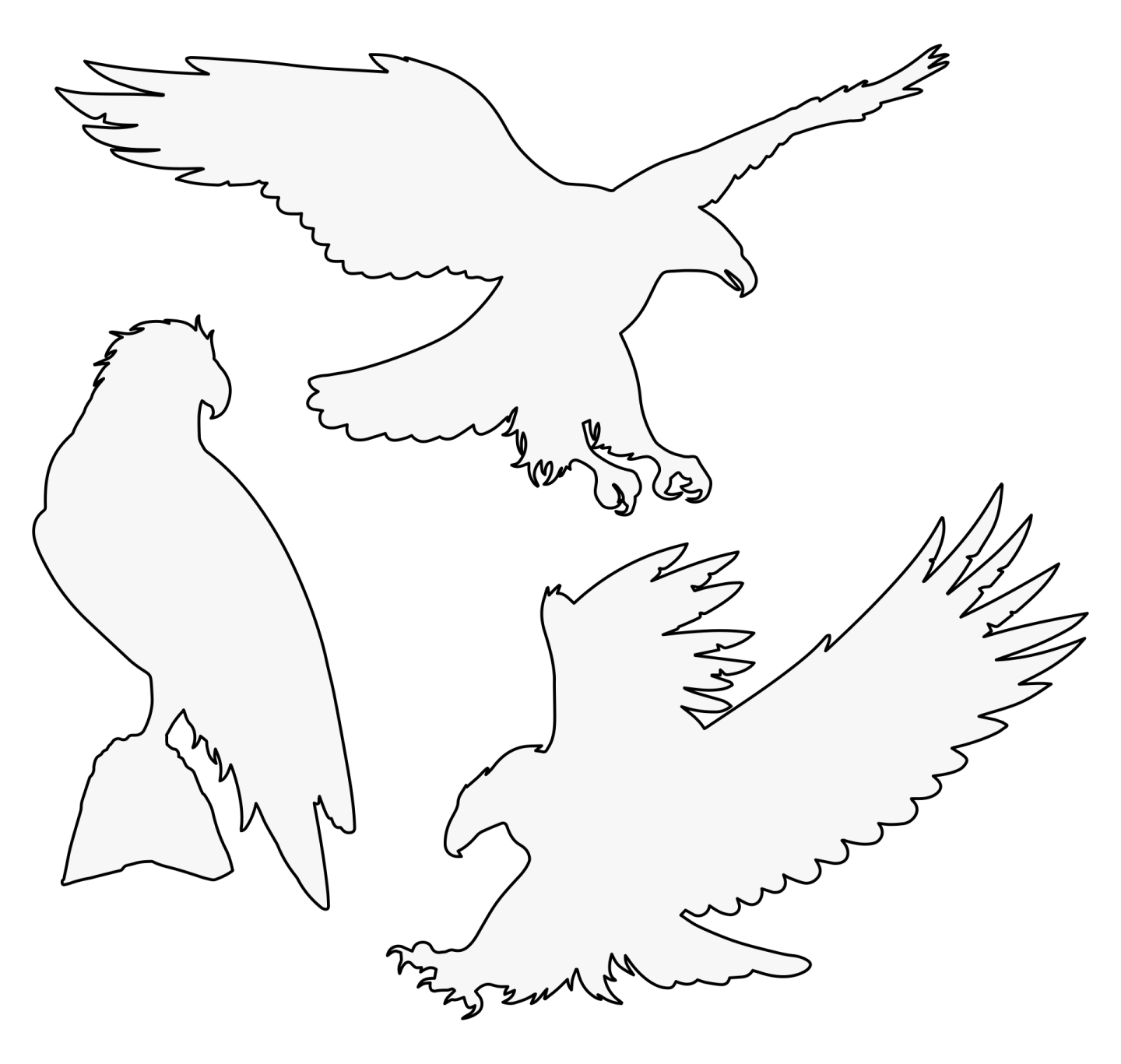 a pair of eagles flying in the sky