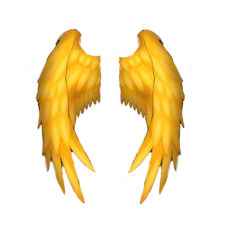 a pair of yellow wings