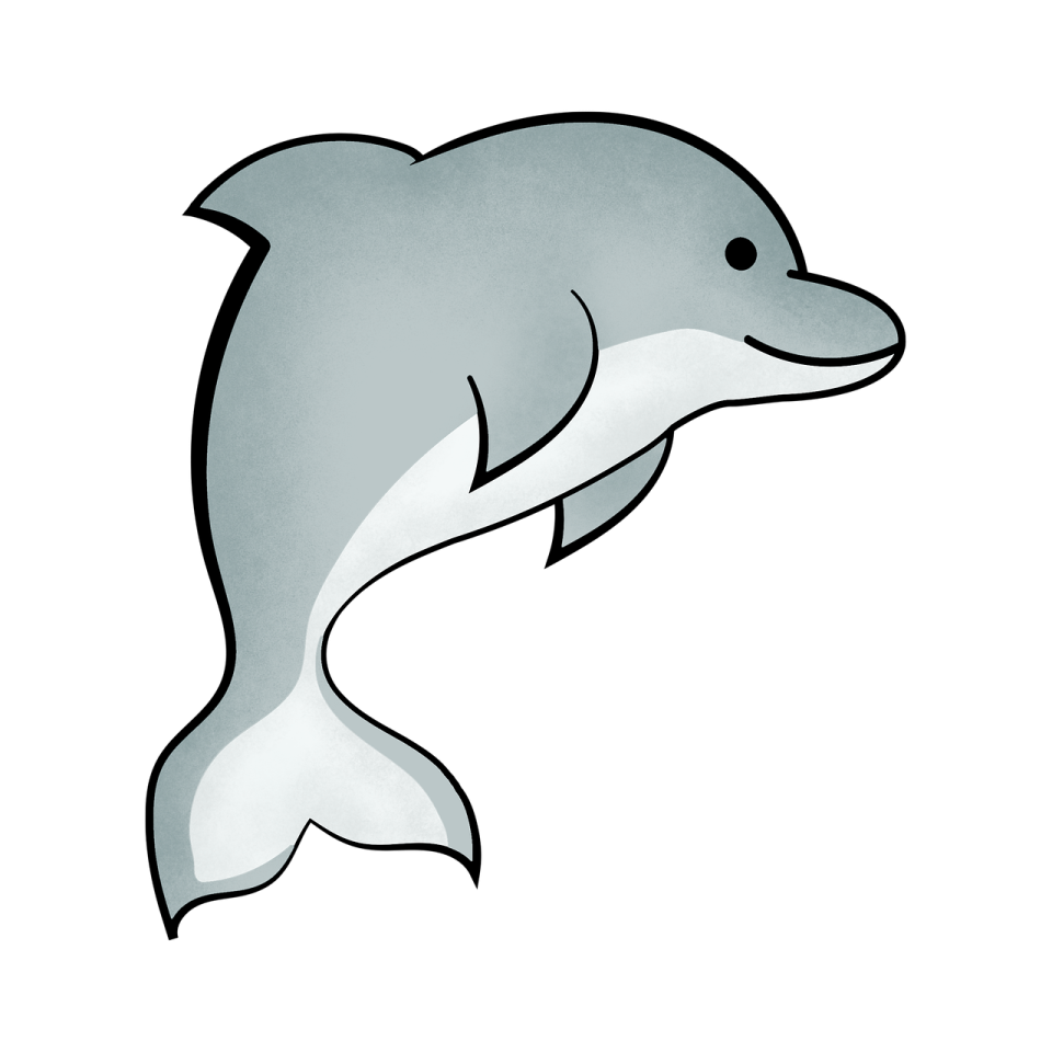 a drawing of a dolphin on a white background