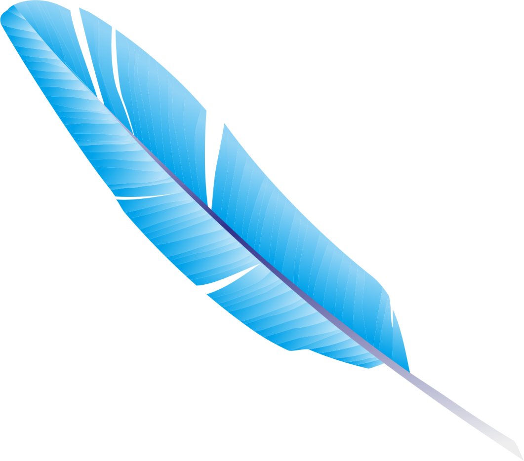 a blue feather on a white background