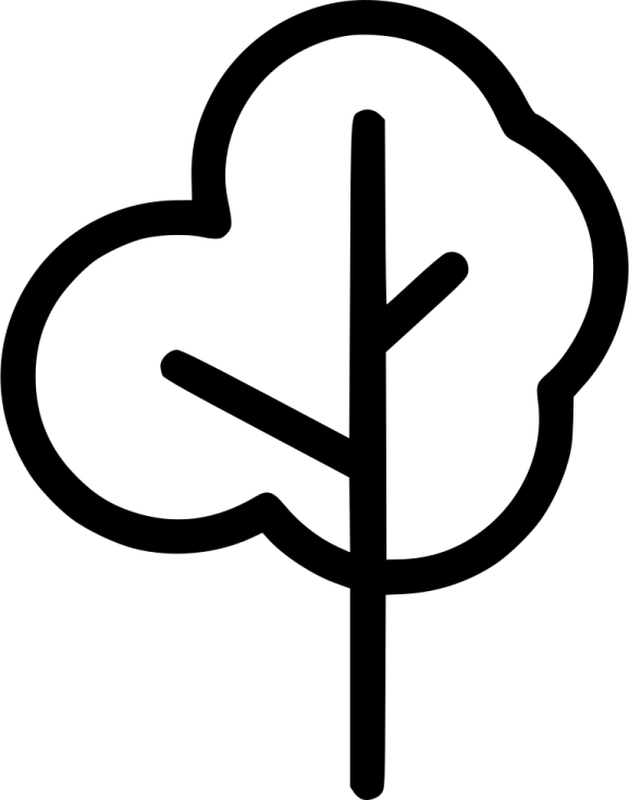 a black and white image of a tree