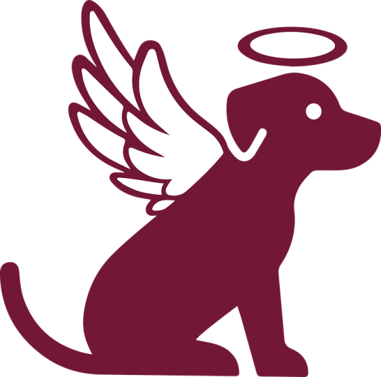 a silhouette of a dog with angel wings