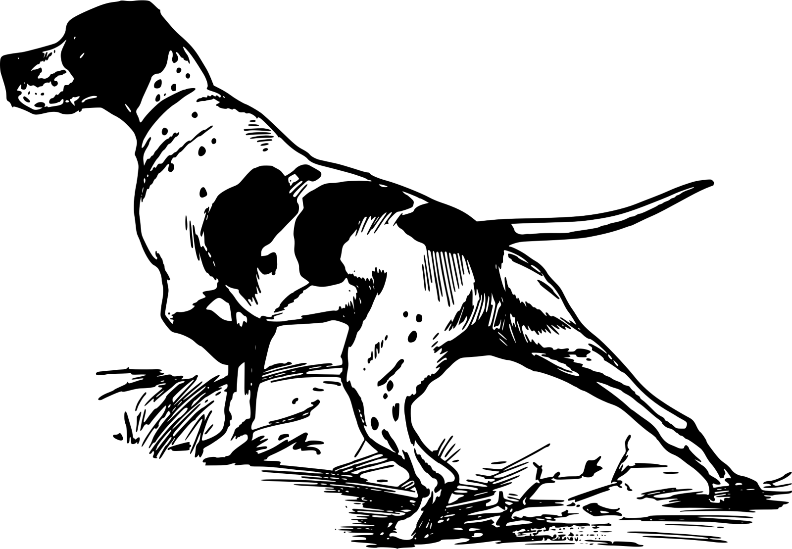 a black and white drawing of a dog