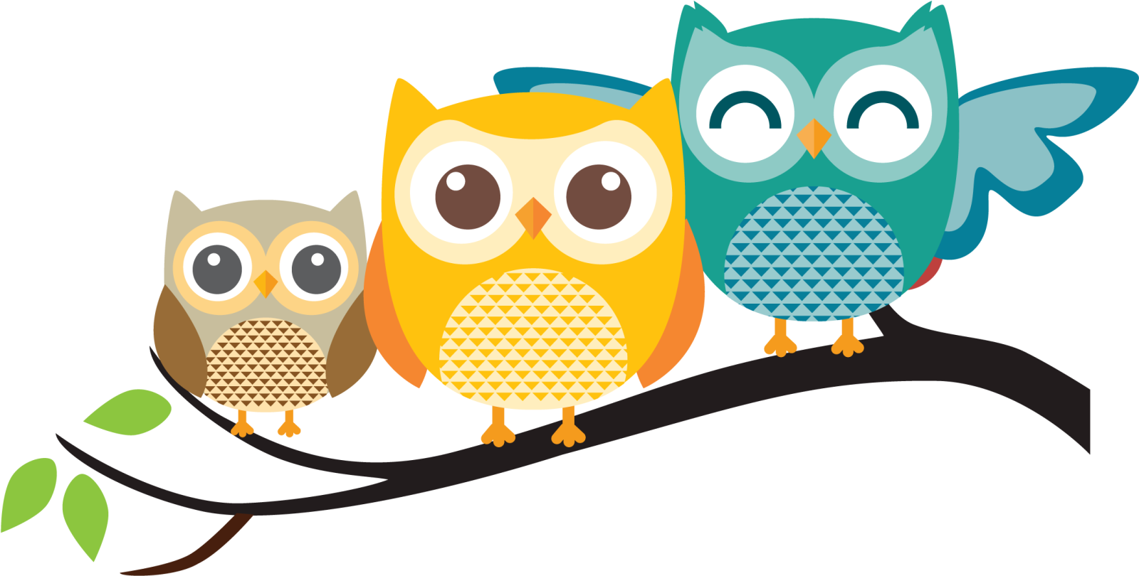 three owls sitting on a branch