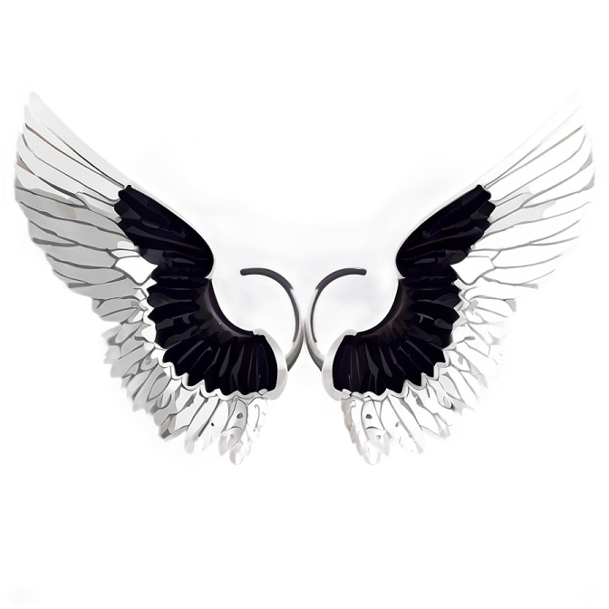 a pair of wings on a white background