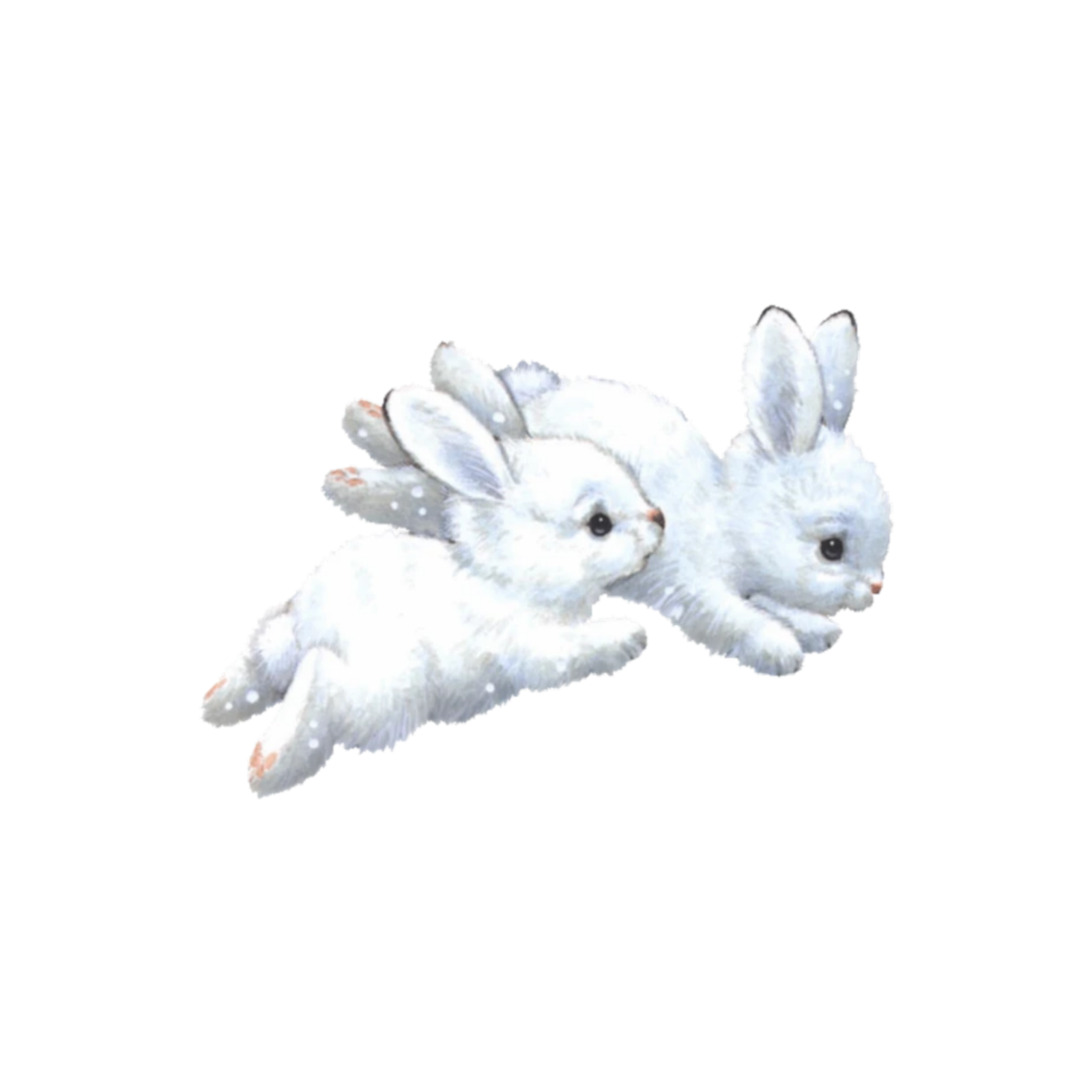 two white rabbits flying in the air
