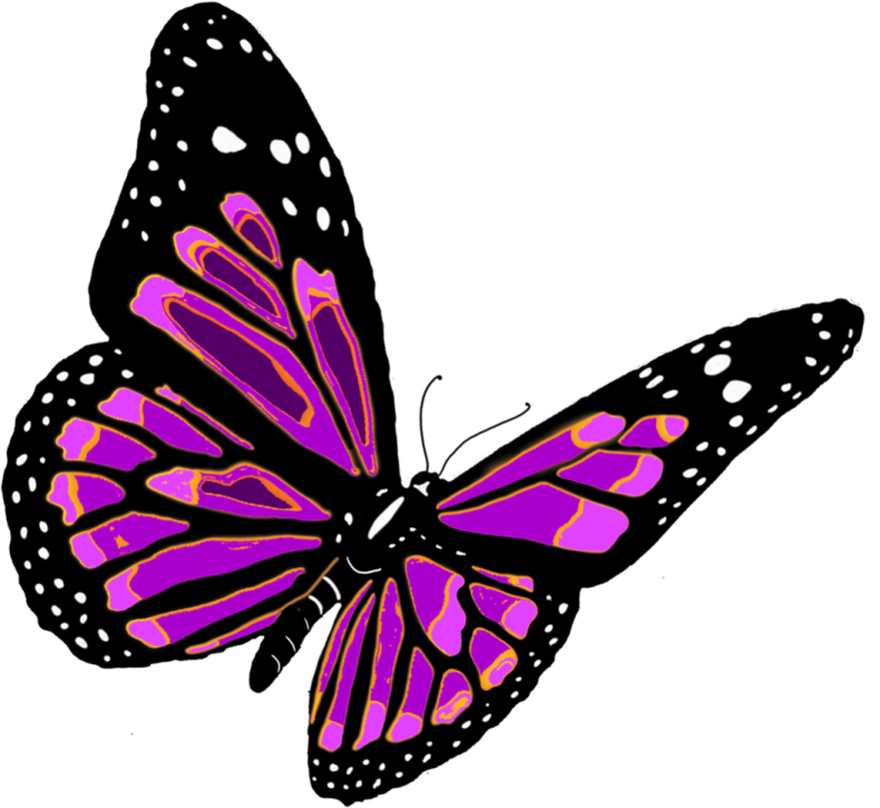 a purple butterfly on a white background