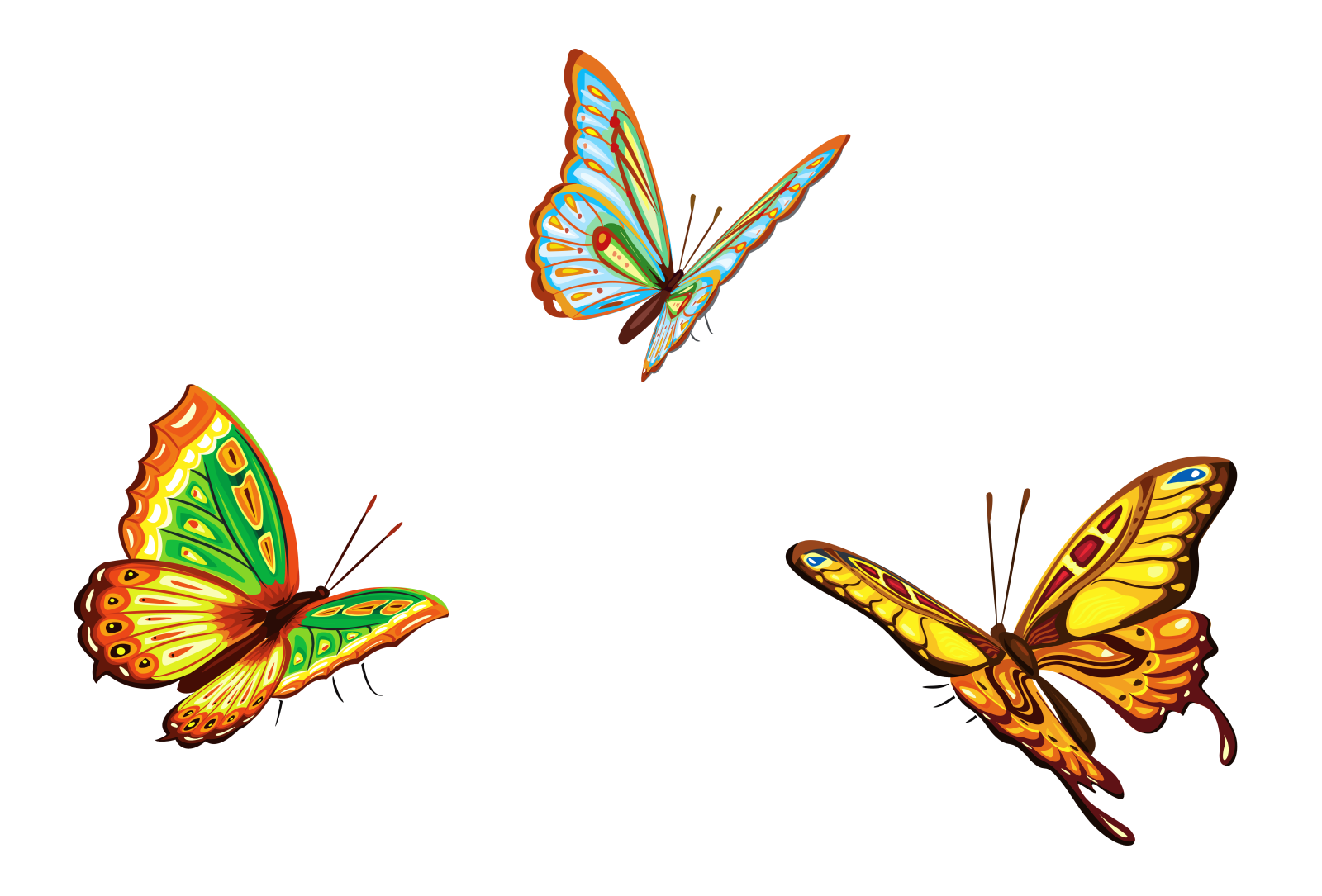 three colorful butterflies on a white background
