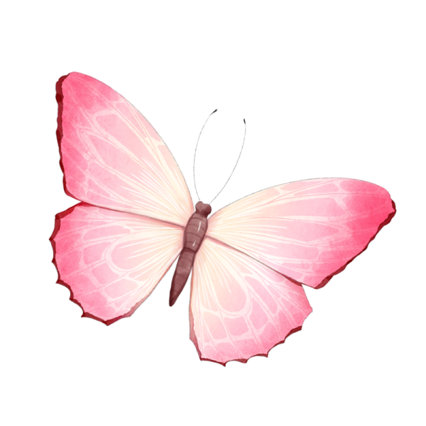 a pink butterfly on a white background