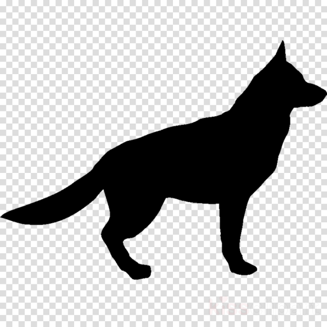 a black cat silhouetted on a transparent background